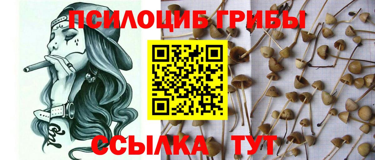 Псилоцибиновые грибы ЛСД Новый Уренгой